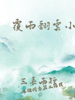 覆雨翻云小说
