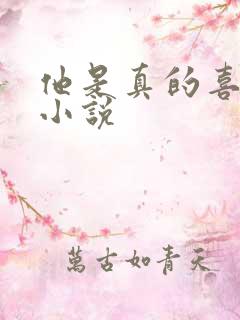 他是真的喜欢你小说