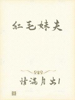 红毛妹夫