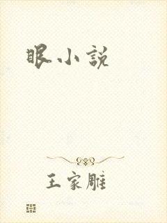眼小说