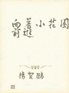 向着小花园深处前进