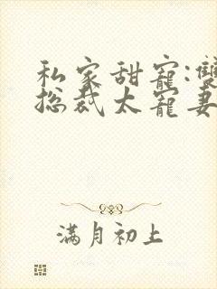 私家甜宠:双面总裁太宠妻