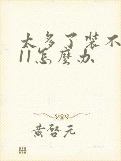 太多了装不下h11怎么办