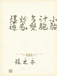 爆炒多汁小美人通感双胞胎