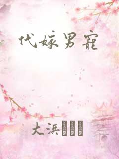代嫁男宠