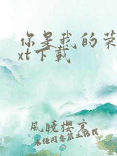 你是我的荣耀txt下载