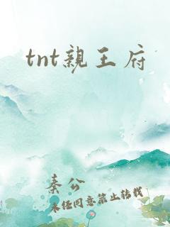 tnt亲王府