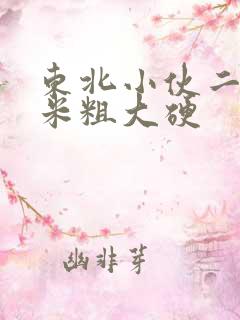 东北小伙二十厘米粗大硬