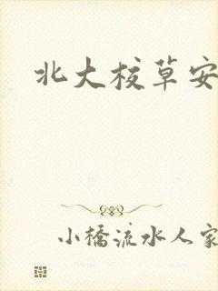 北大校草安允泽