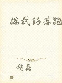 总裁的落跑情人