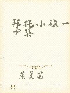 拜托小姐一共多少集