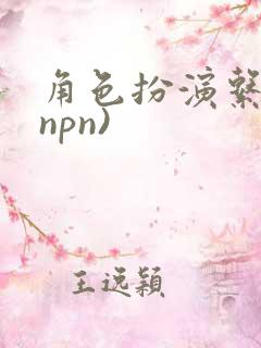角色扮演系统(npn)