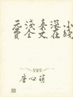 元浅秦深小说免费全文在线