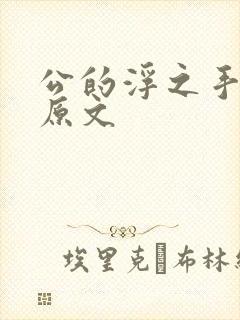 公的浮之手中字原文
