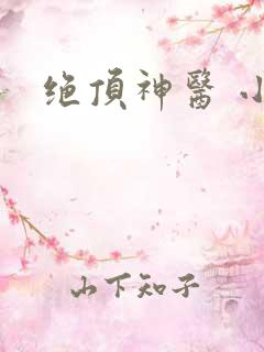 绝顶神医 小说