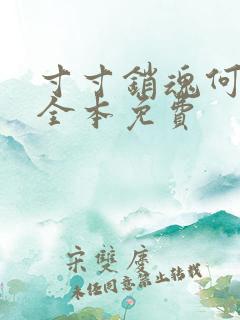 寸寸销魂何生祥全本免费