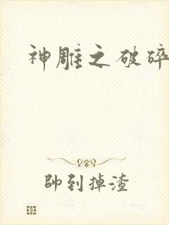 神雕之破碎之旅