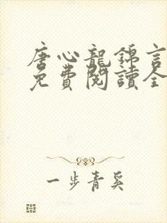 唐心龙锦言小说免费阅读全文