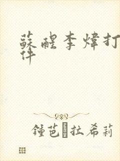 苏醒李炜打架事件