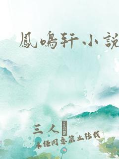 凤鸣轩小说