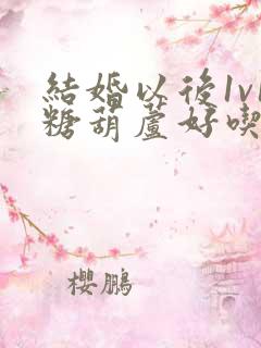 结婚以后1v1糖葫芦好吃epub