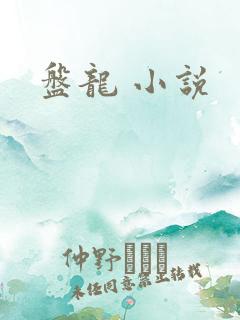 盘龙 小说