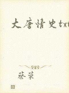 大唐情史txt