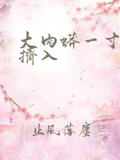 大肉蟒一寸一寸挤入