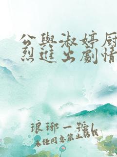 公与淑婷厨房猛烈进出剧情介绍