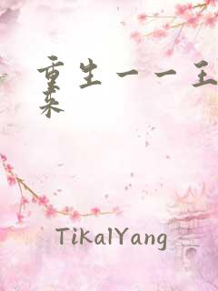 重生一一王者归来