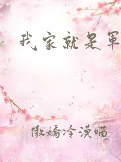 我家就是军火铺