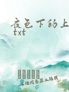 夜色下的上海滩 txt