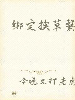 绑定挨草系统后