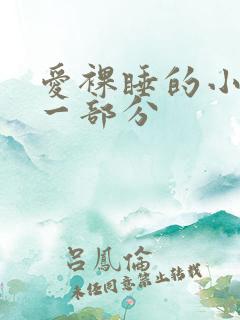 爱裸睡的小丹第一部分