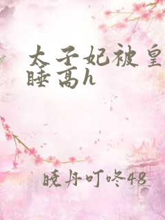 太子妃被皇上强睡高h