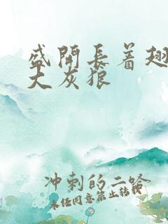 盛开长着翅膀的大灰狼