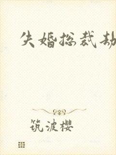 失婚总裁劫前妻