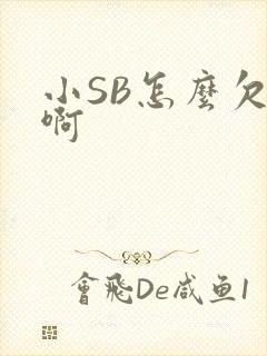 小SB怎么欠C啊