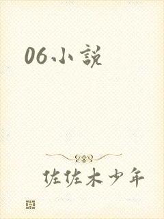 06小说