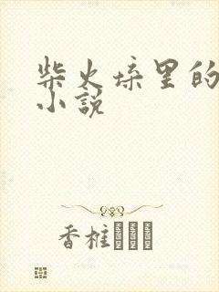 柴火垛里的疯狂小说