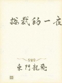 总裁的一夜情人