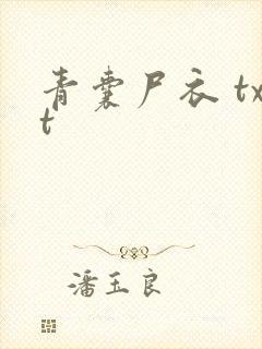 青囊尸衣 txt