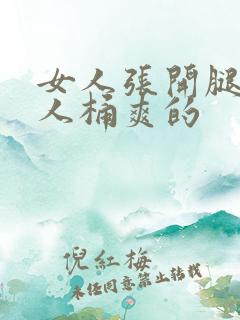 女人张开腿让男人桶爽的