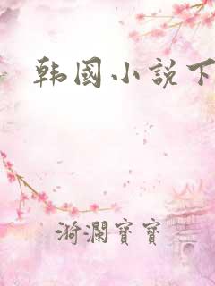 韩国小说下载