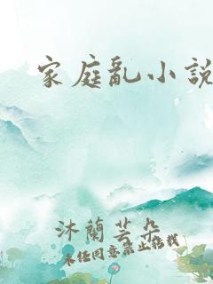 家庭乱小说