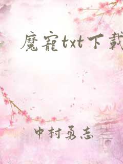 魔宠txt下载