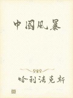 中国风暴