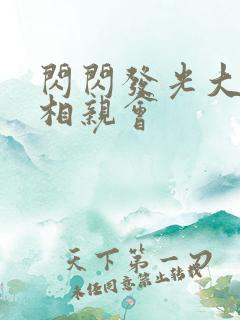 闪闪发光大团圆相亲会