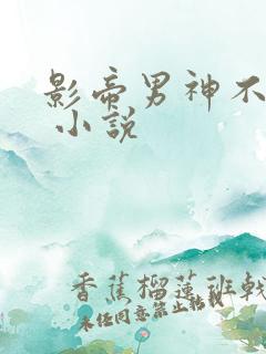 影帝男神不节制 小说