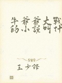 牛爷爷大战小丽的小说叫什么